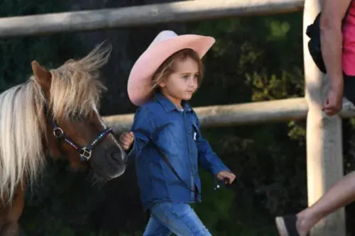 Le Cheval Miniature Américain, avec l'association AMHA