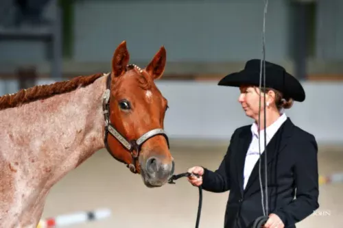 Rencontre avec Tiphaine Le Corre-Louise, éducatrice, enseignante, et dirigeante de Easy Horse