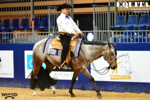 L'Appaloosa, avec l'ApHCF