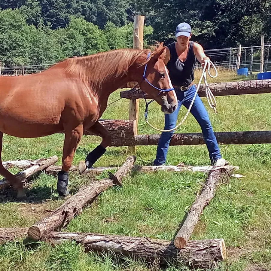 Angélique Launay et le Barn Ranch Pony