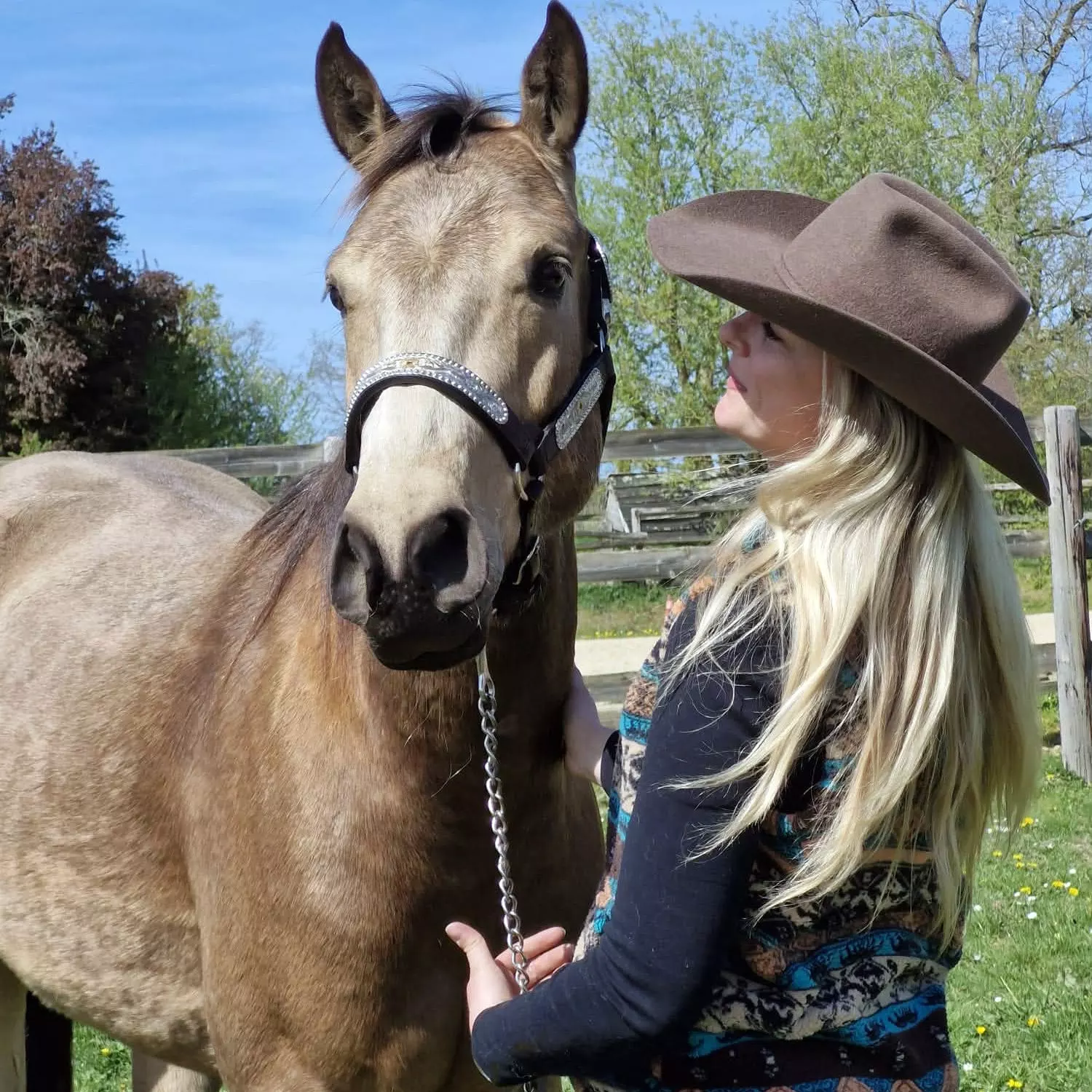 Tess Lallemand, cavalière western entre reining, travail du cheval et culture américaine