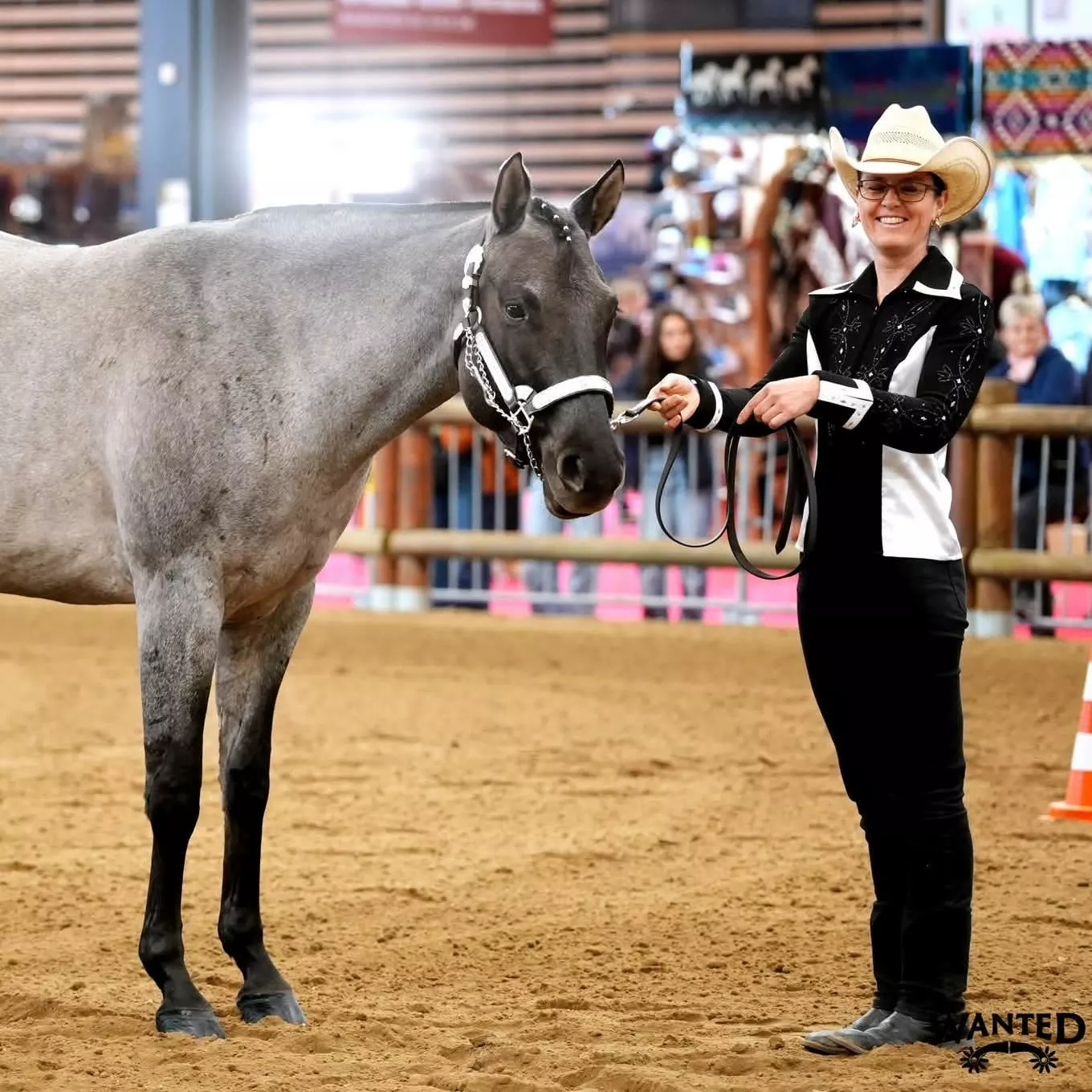 Sophie Terrien, entraineur et juge de showmanship et ranch