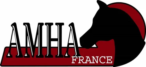 Logo AMHA France (American Miniature Horse Association)